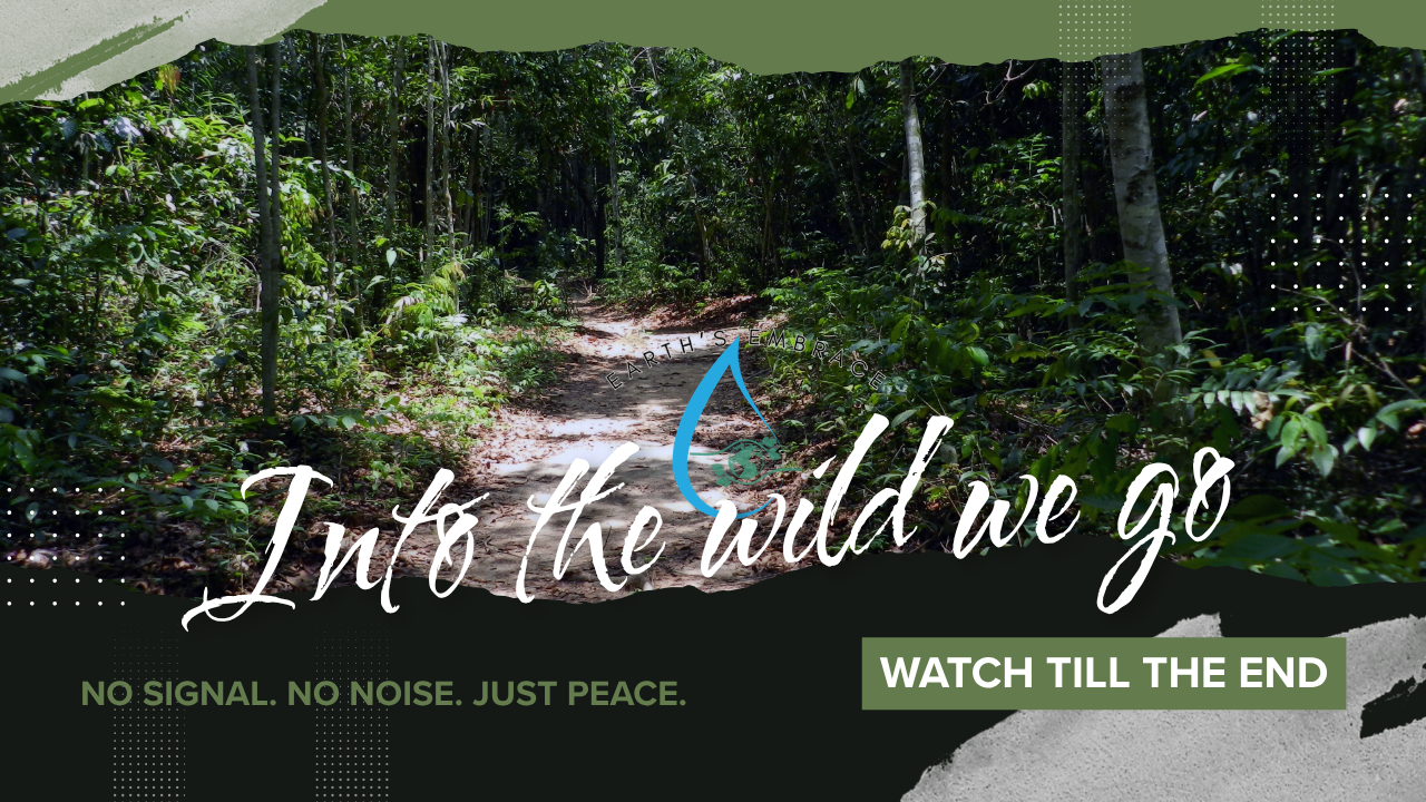 Into the Wild We Go