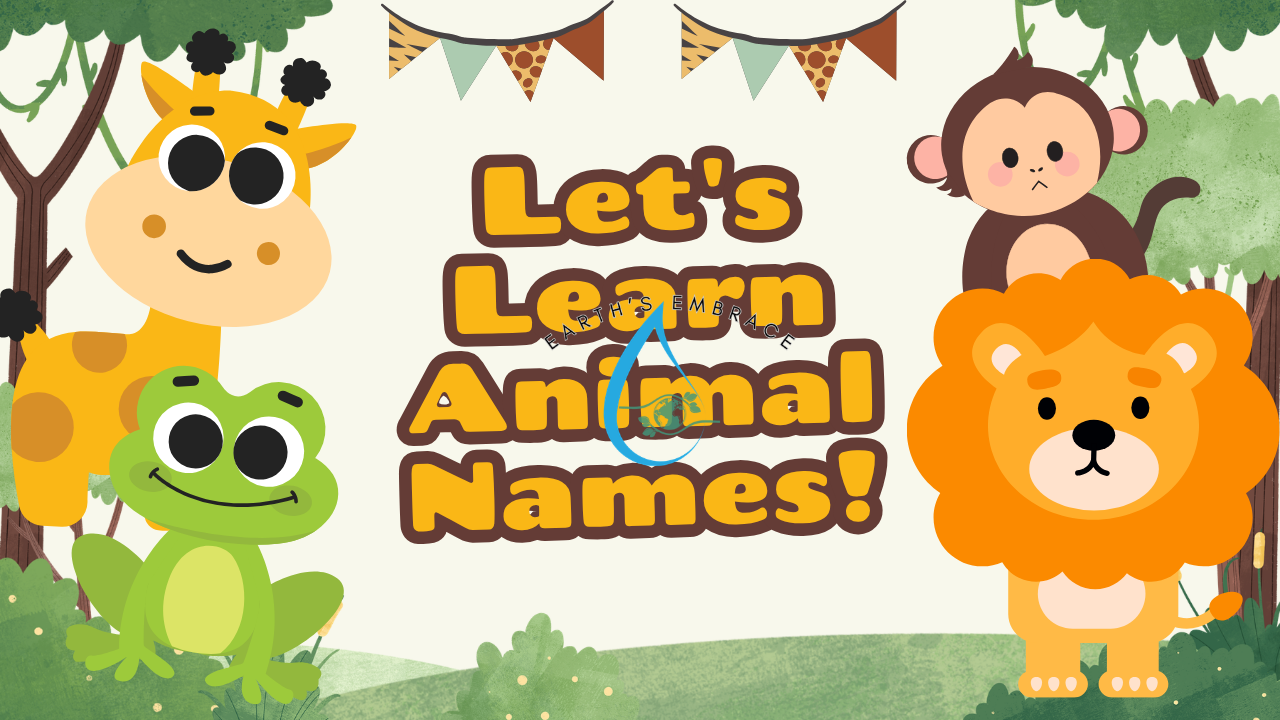 Let’s Learn Animal Names!