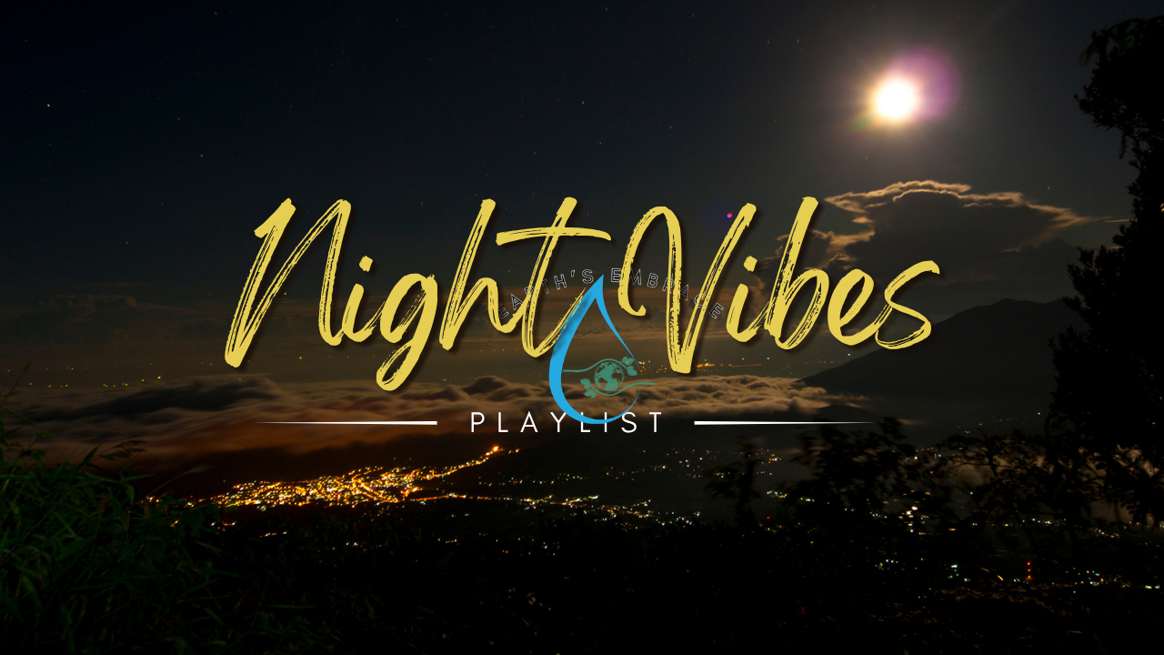 Night Vibes
