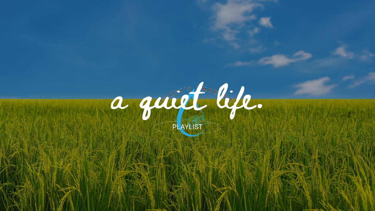 A Quiet Life
